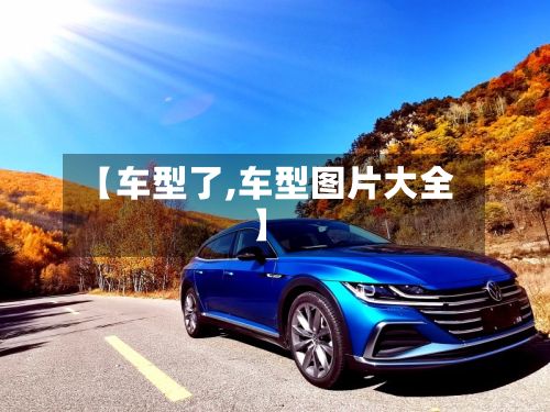 【车型了,车型图片大全】-第3张图片