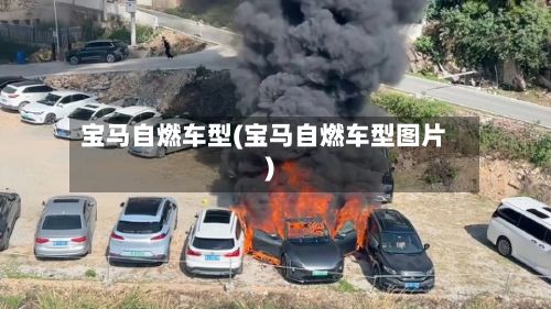宝马自燃车型(宝马自燃车型图片)