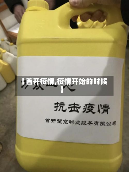 【首开疫情,疫情开始的时候】-第3张图片