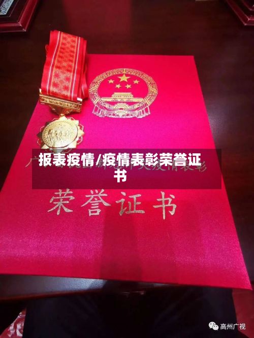 报表疫情/疫情表彰荣誉证书-第3张图片