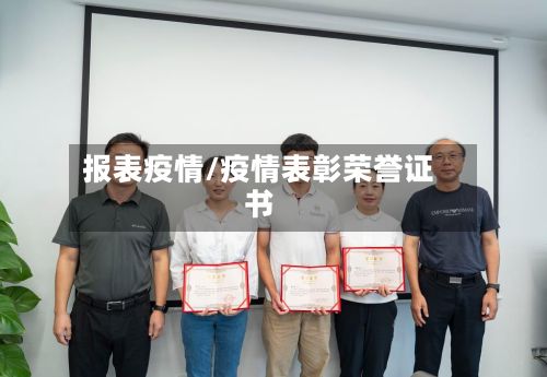 报表疫情/疫情表彰荣誉证书-第2张图片