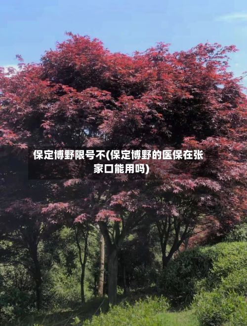 保定博野限号不(保定博野的医保在张家口能用吗)-第3张图片
