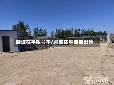 聊城茌平限号不/聊城茌平商铺出售-第2张图片
