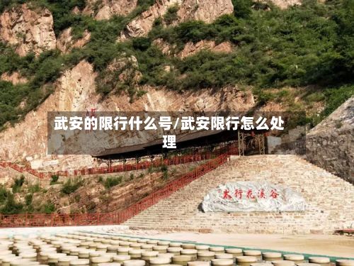 武安的限行什么号/武安限行怎么处理-第3张图片