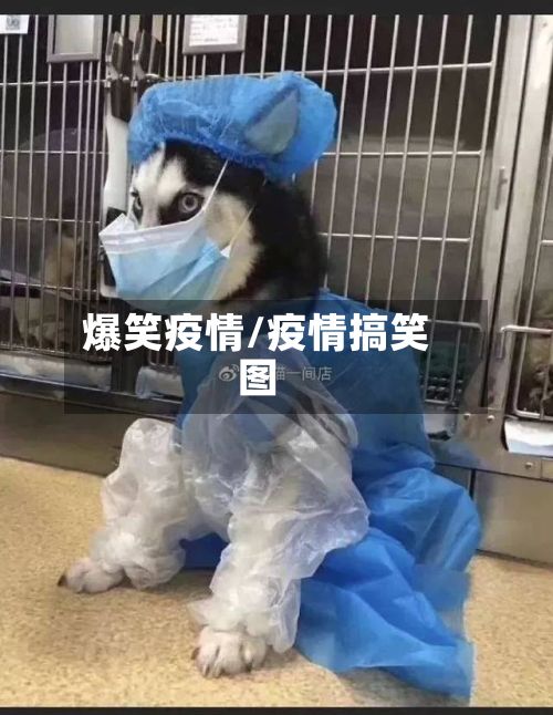 爆笑疫情/疫情搞笑图