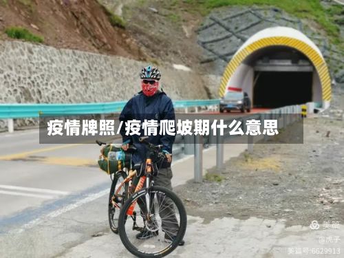 疫情牌照/疫情爬坡期什么意思