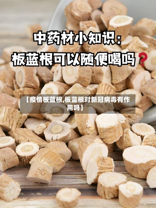 【疫情板蓝根,板蓝根对新冠病毒有作用吗】