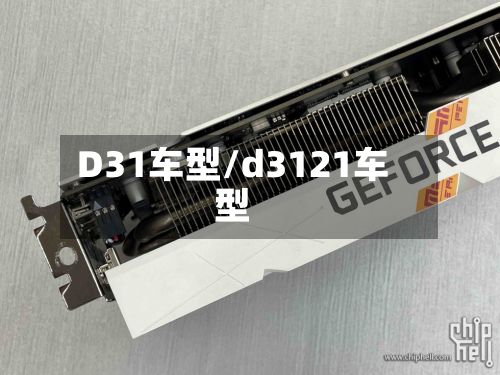 D31车型/d3121车型-第2张图片