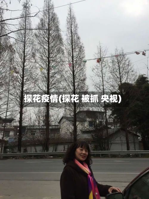 探花疫情(探花 被抓 央视)-第2张图片