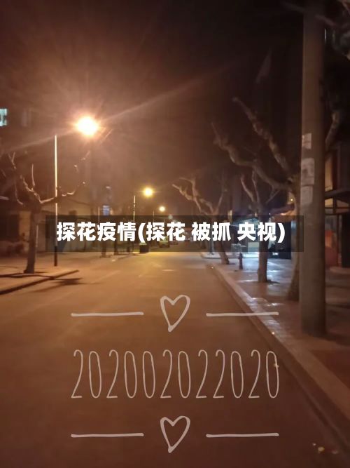 探花疫情(探花 被抓 央视)