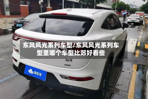 东风风光系列车型/东风风光系列车型里哪个车型比郊好看些-第2张图片