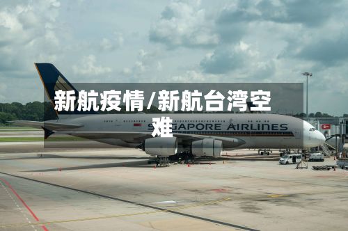 新航疫情/新航台湾空难
