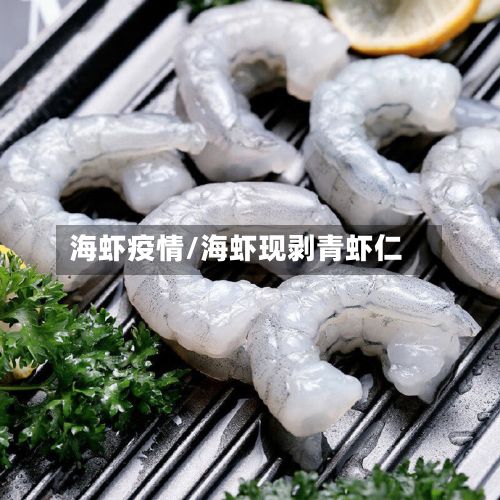 海虾疫情/海虾现剥青虾仁-第3张图片