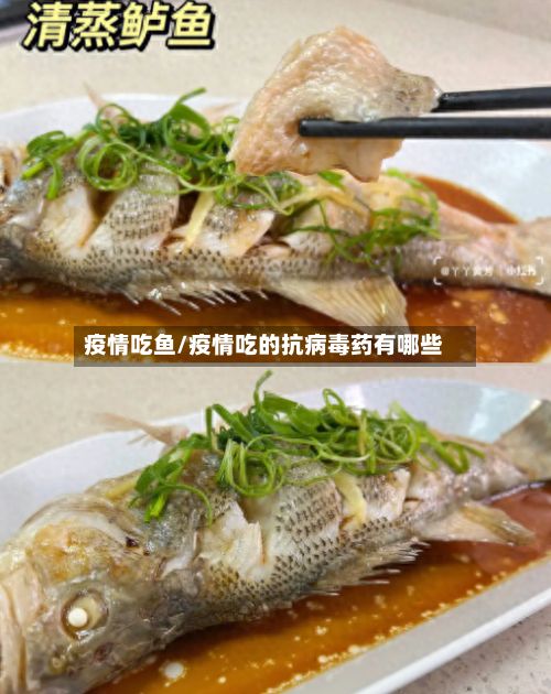 疫情吃鱼/疫情吃的抗病毒药有哪些