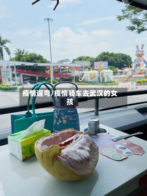 疫情遛弯/疫情骑车去武汉的女孩-第3张图片