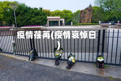 疫情荏苒(疫情哀悼日)-第3张图片
