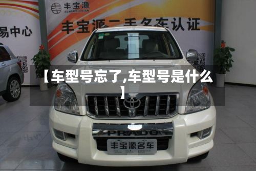 【车型号忘了,车型号是什么】