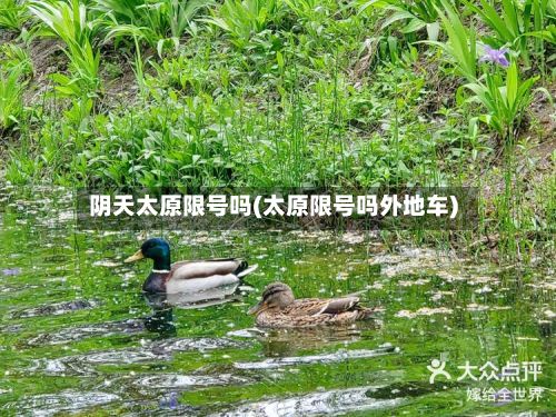 阴天太原限号吗(太原限号吗外地车)-第2张图片
