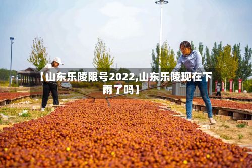 【山东乐陵限号2022,山东乐陵现在下雨了吗】