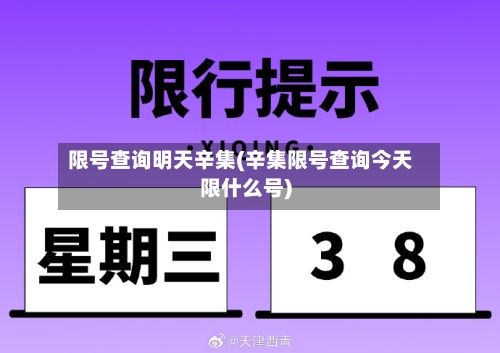 限号查询明天辛集(辛集限号查询今天限什么号)-第2张图片