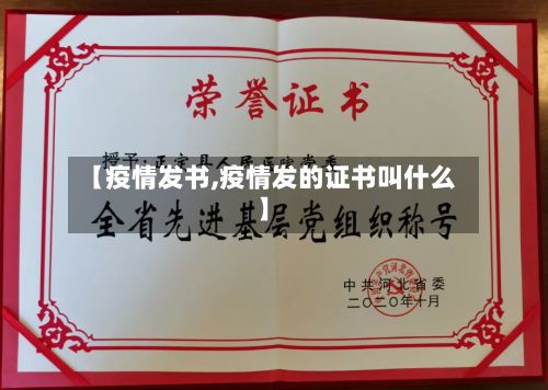 【疫情发书,疫情发的证书叫什么】-第2张图片