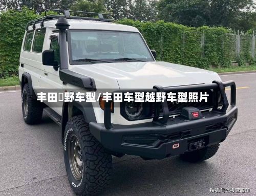 丰田赿野车型/丰田车型越野车型照片