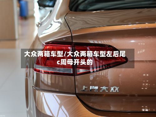 大众两箱车型/大众两箱车型左后尾c周母开头的