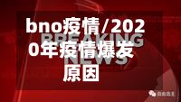 bno疫情/2020年疫情爆发原因