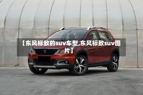 【东风标致的suv车型,东风标致suv图片】