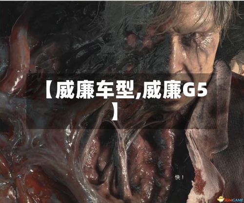 【威廉车型,威廉G5】-第2张图片