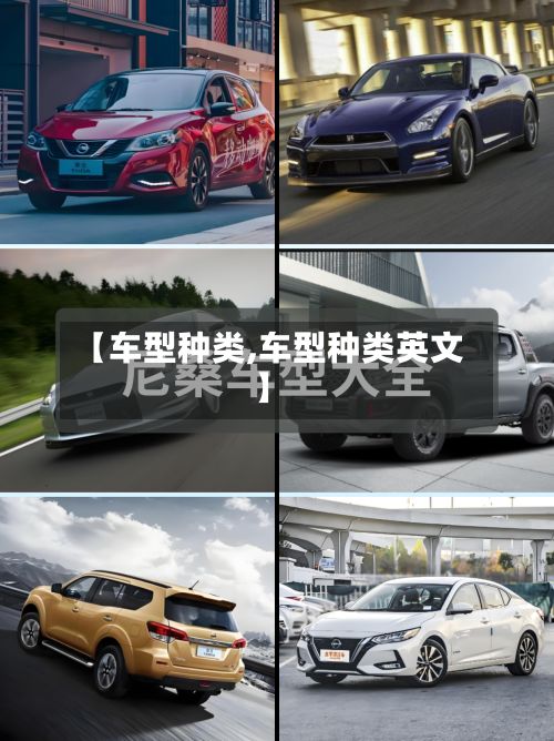 【车型种类,车型种类英文】-第2张图片