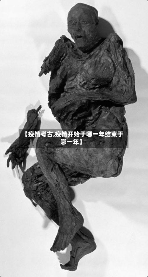 【疫情考古,疫情开始于哪一年结束于哪一年】-第2张图片