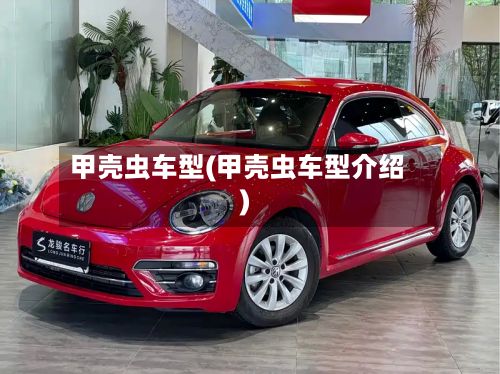 甲壳虫车型(甲壳虫车型介绍)-第3张图片