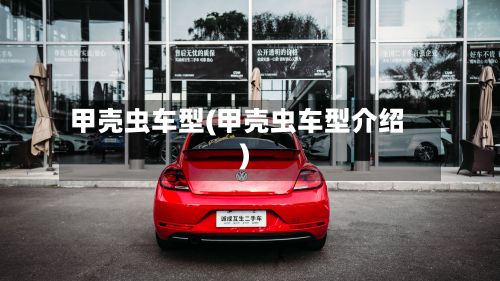 甲壳虫车型(甲壳虫车型介绍)-第2张图片