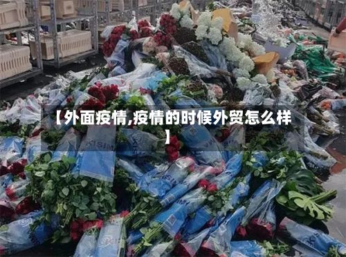 【外面疫情,疫情的时候外贸怎么样】-第3张图片