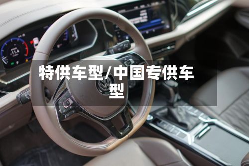 特供车型/中国专供车型-第3张图片