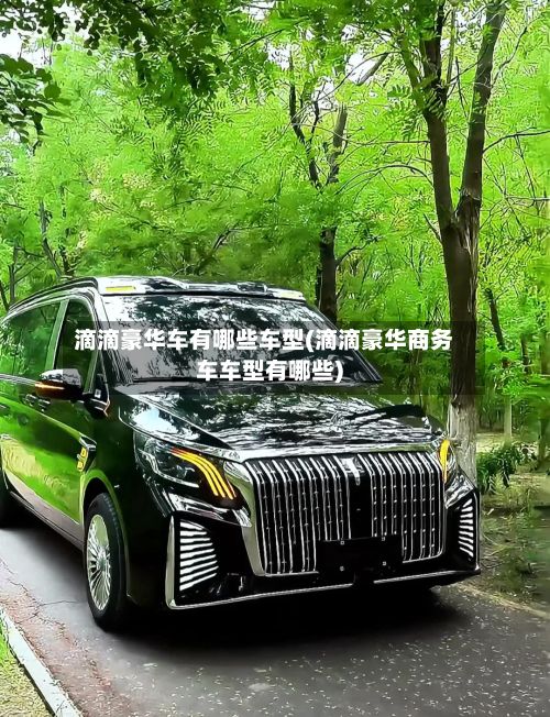 滴滴豪华车有哪些车型(滴滴豪华商务车车型有哪些)-第2张图片