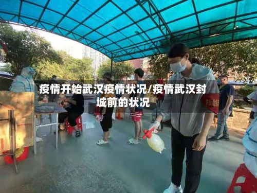 疫情开始武汉疫情状况/疫情武汉封城前的状况-第2张图片