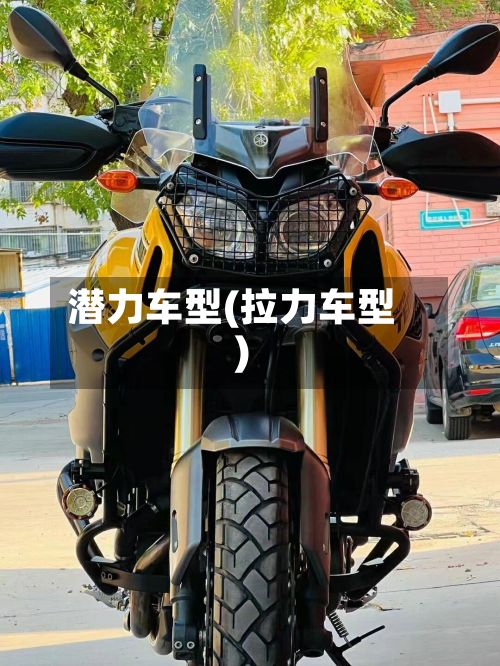 潜力车型(拉力车型)