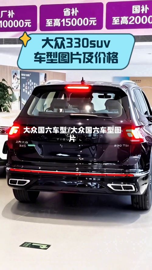 大众国六车型/大众国六车型图片-第2张图片