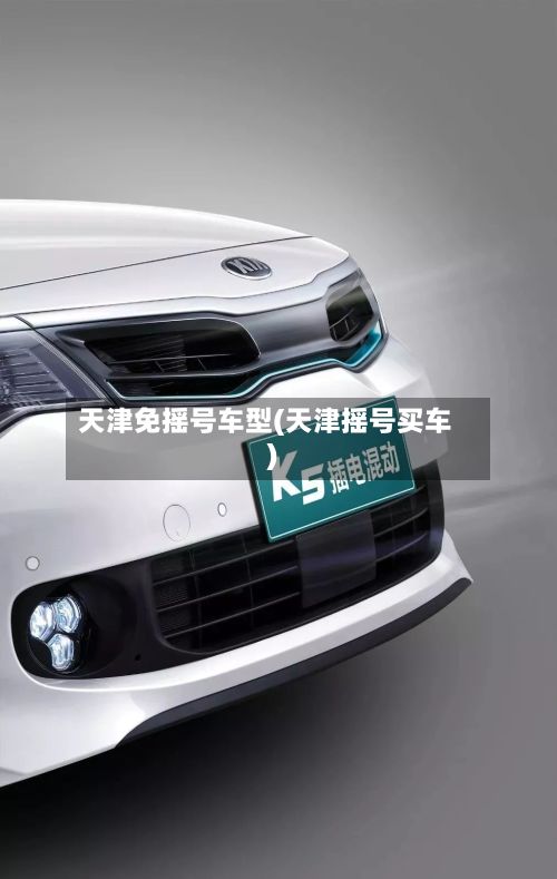 天津免摇号车型(天津摇号买车)-第2张图片