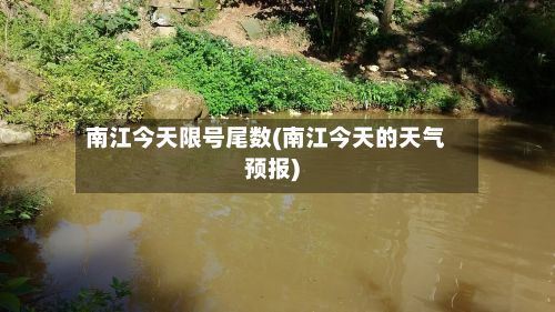 南江今天限号尾数(南江今天的天气预报)