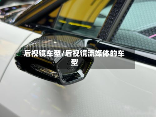 后视镜车型/后视镜流媒体的车型-第2张图片