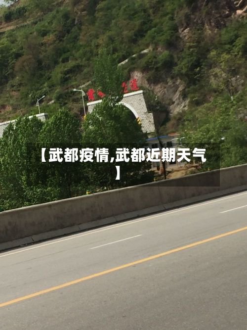 【武都疫情,武都近期天气】