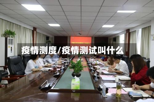 疫情测度/疫情测试叫什么