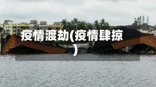 疫情渡劫(疫情肆掠)-第2张图片