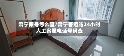 肃宁限号怎么查/肃宁客运站24小时人工客服电话号码查