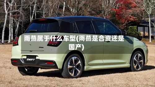 雨燕属于什么车型(雨燕是合资还是国产)-第3张图片