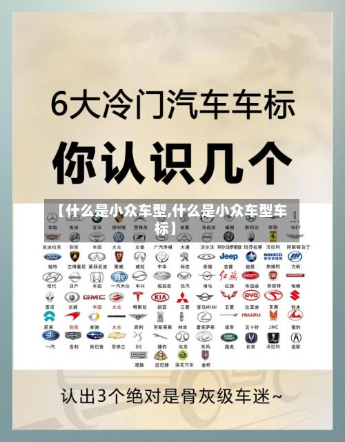 【什么是小众车型,什么是小众车型车标】-第2张图片
