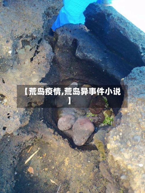 【荒岛疫情,荒岛异事件小说】-第3张图片
